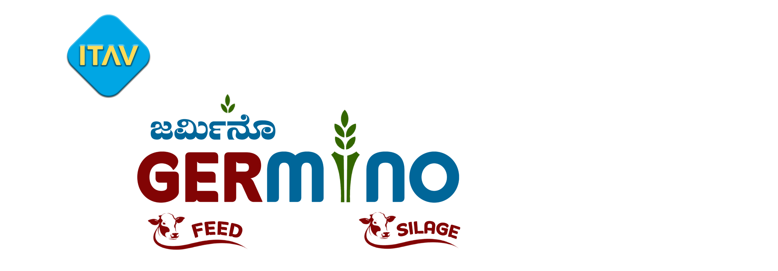 GERMINO LIVESTOCK FEED & SILAGE