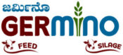 germino final logo original text 1 300x133