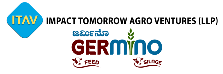 itav logo for website with germino 1 768x256
